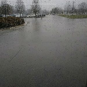 Meet your Posher, Carmale